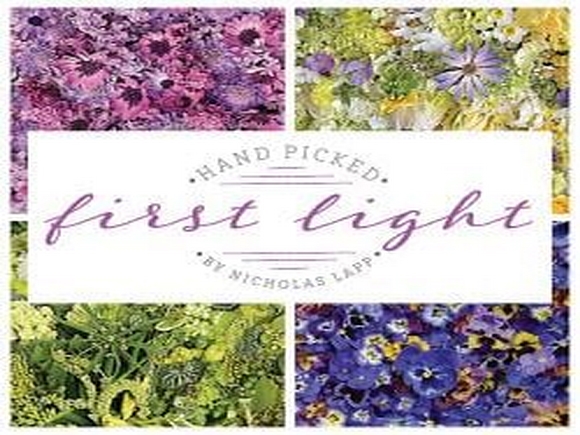 Hand Picked - First Light